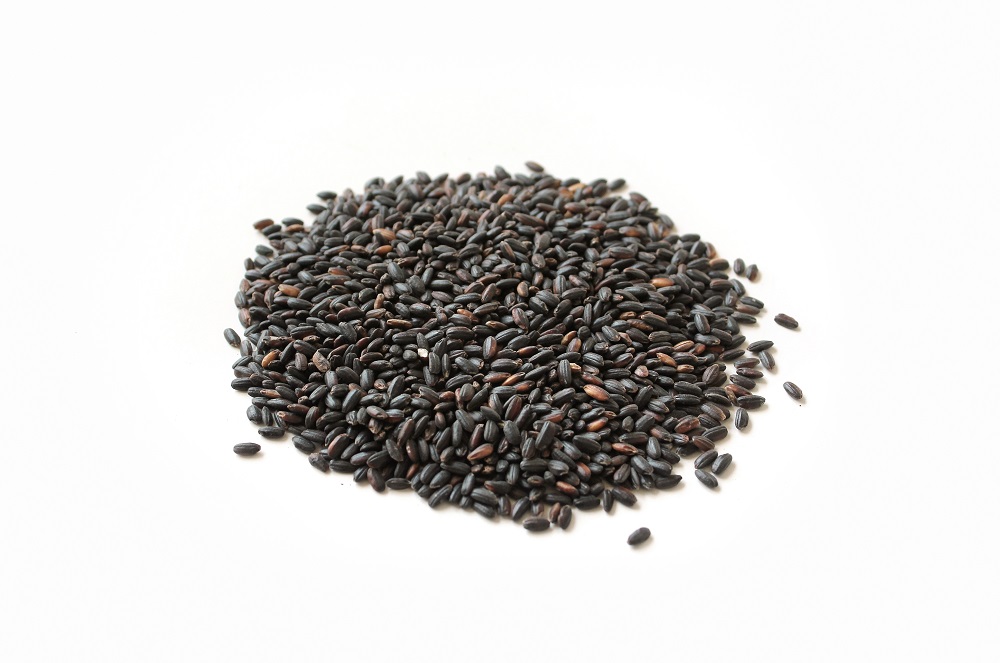 Rice
