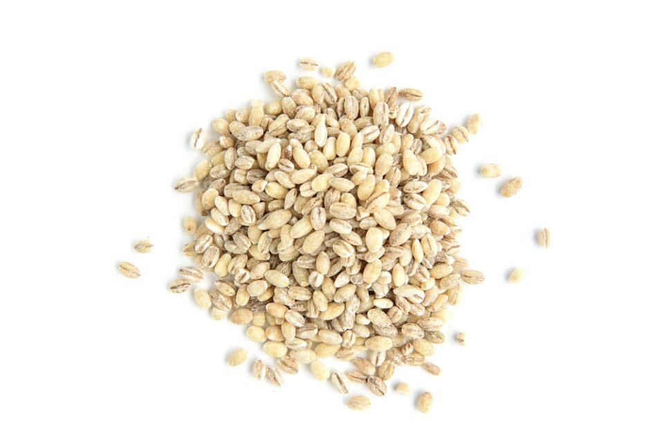 Barley