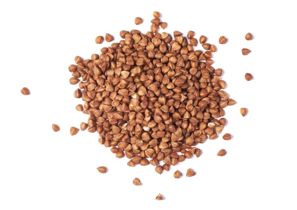Buckwheat