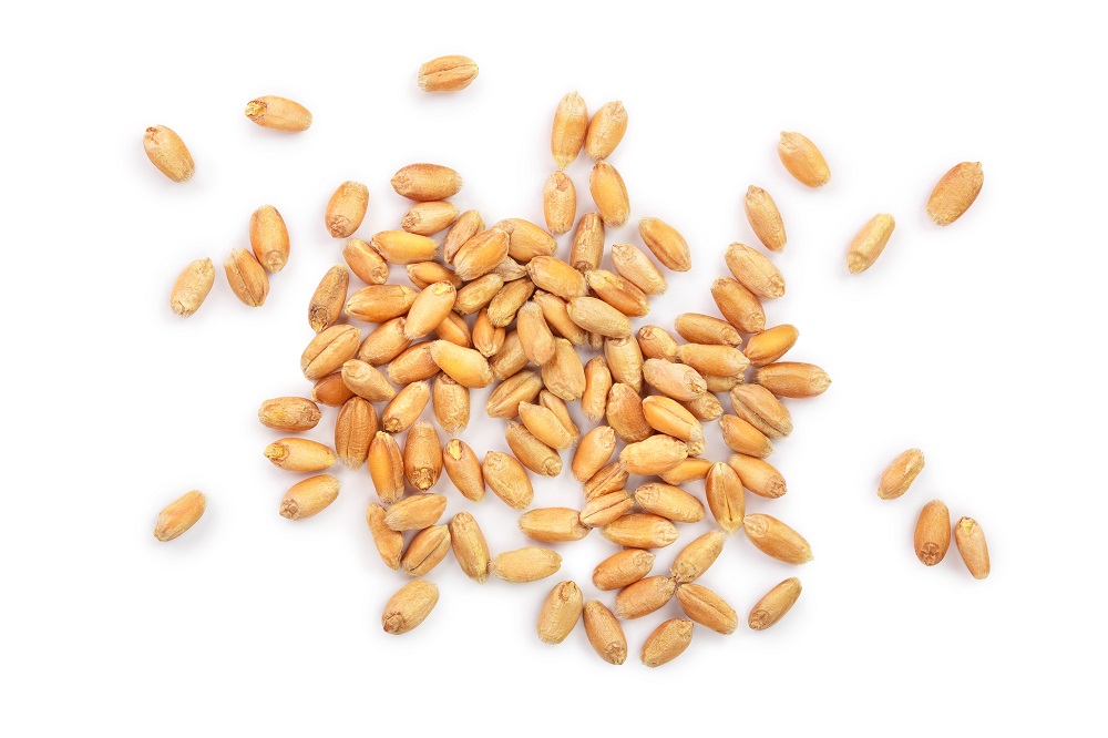 Wheat