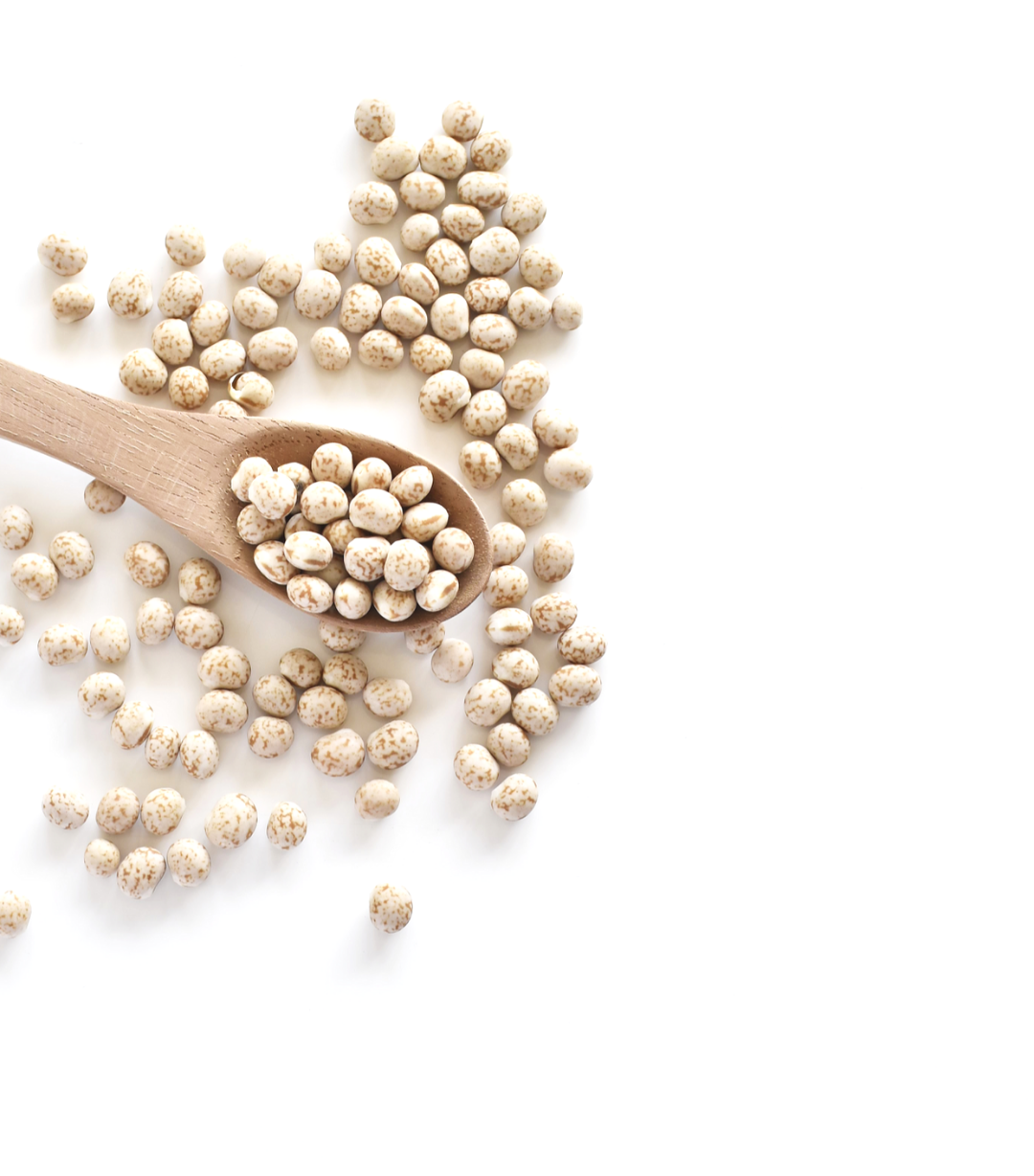 The lowdown on lupins…