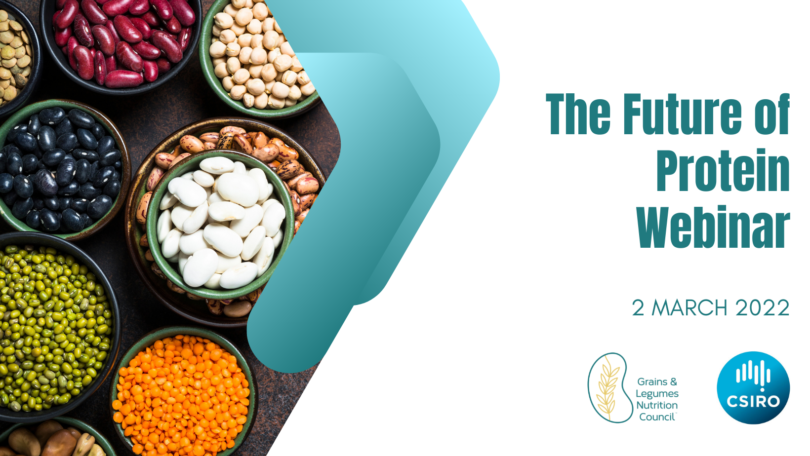 The Future of Protein Webinar