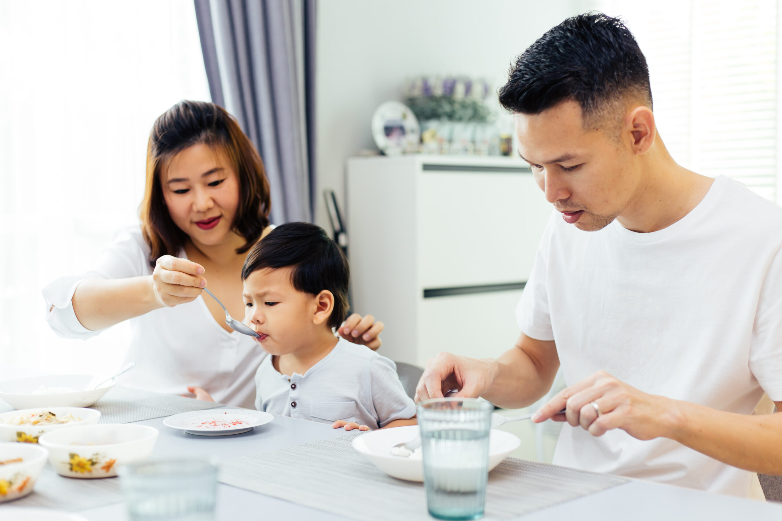 Whole Grains and Legumes: A Source of Dietary Fibre for Toddlers