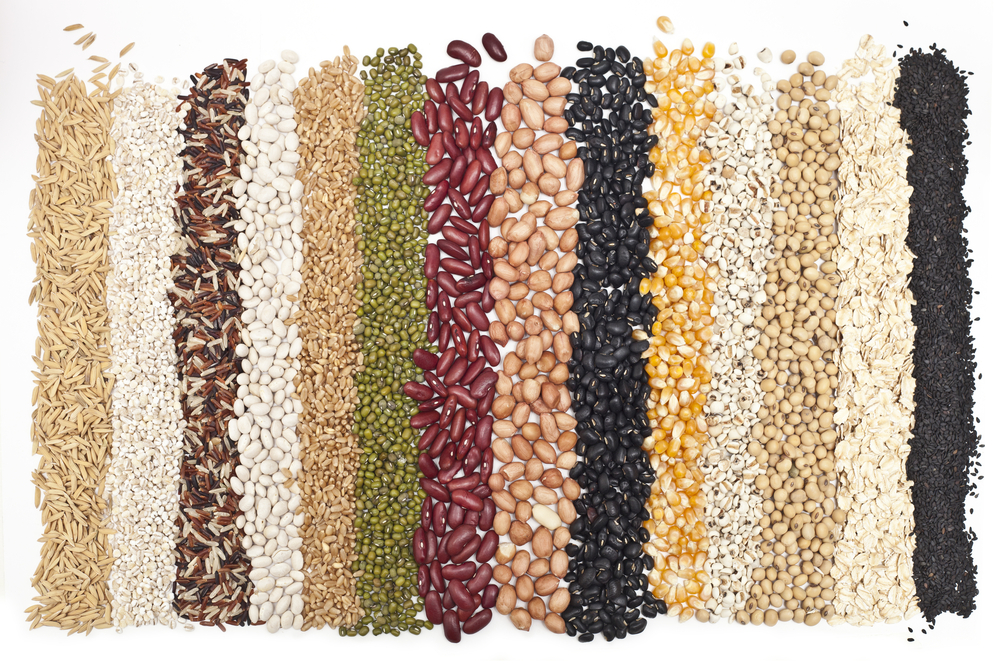The Whole Grain Ingredient Content Claim Brochure & Fact sheet