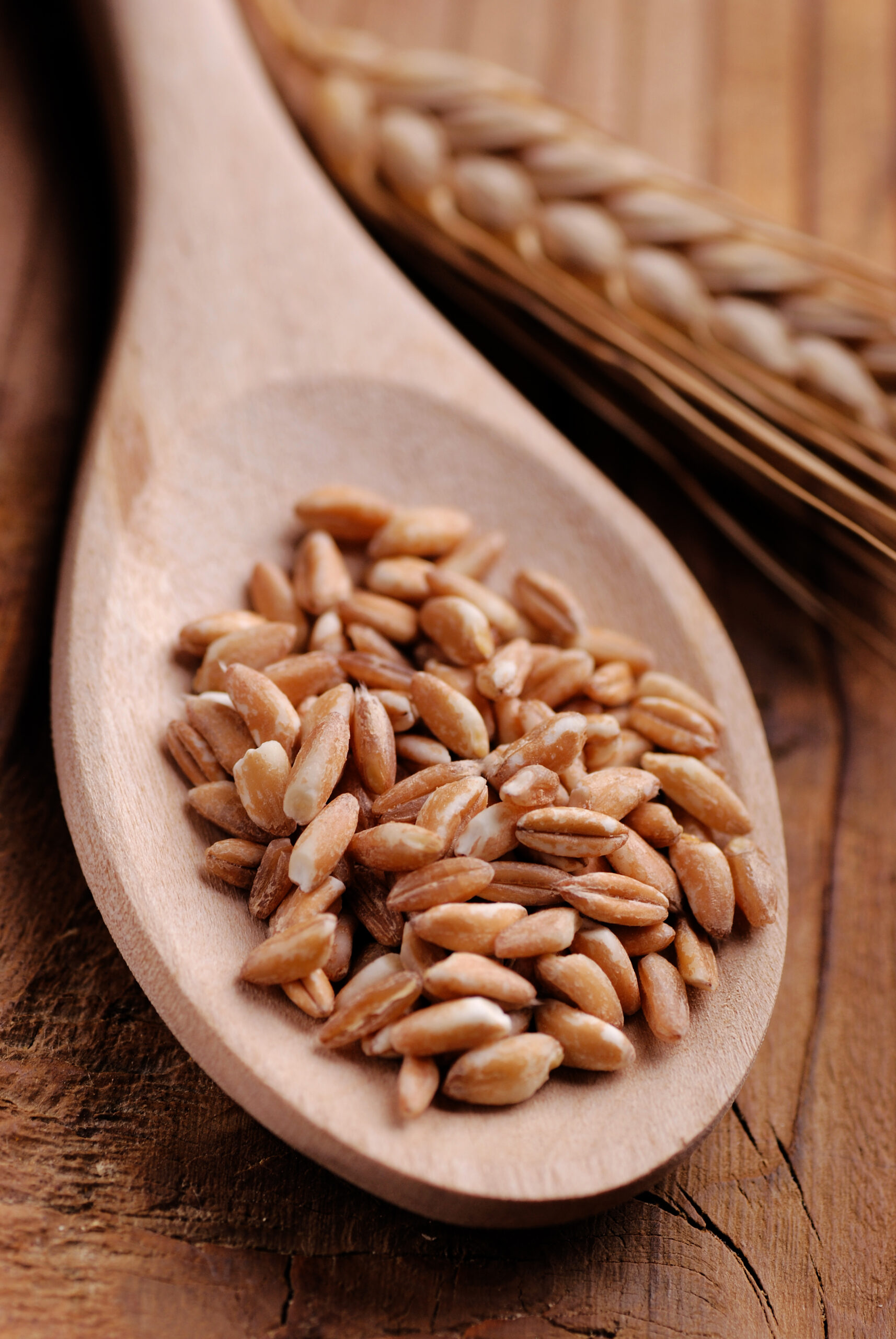 GLNC Grains Audit 2018