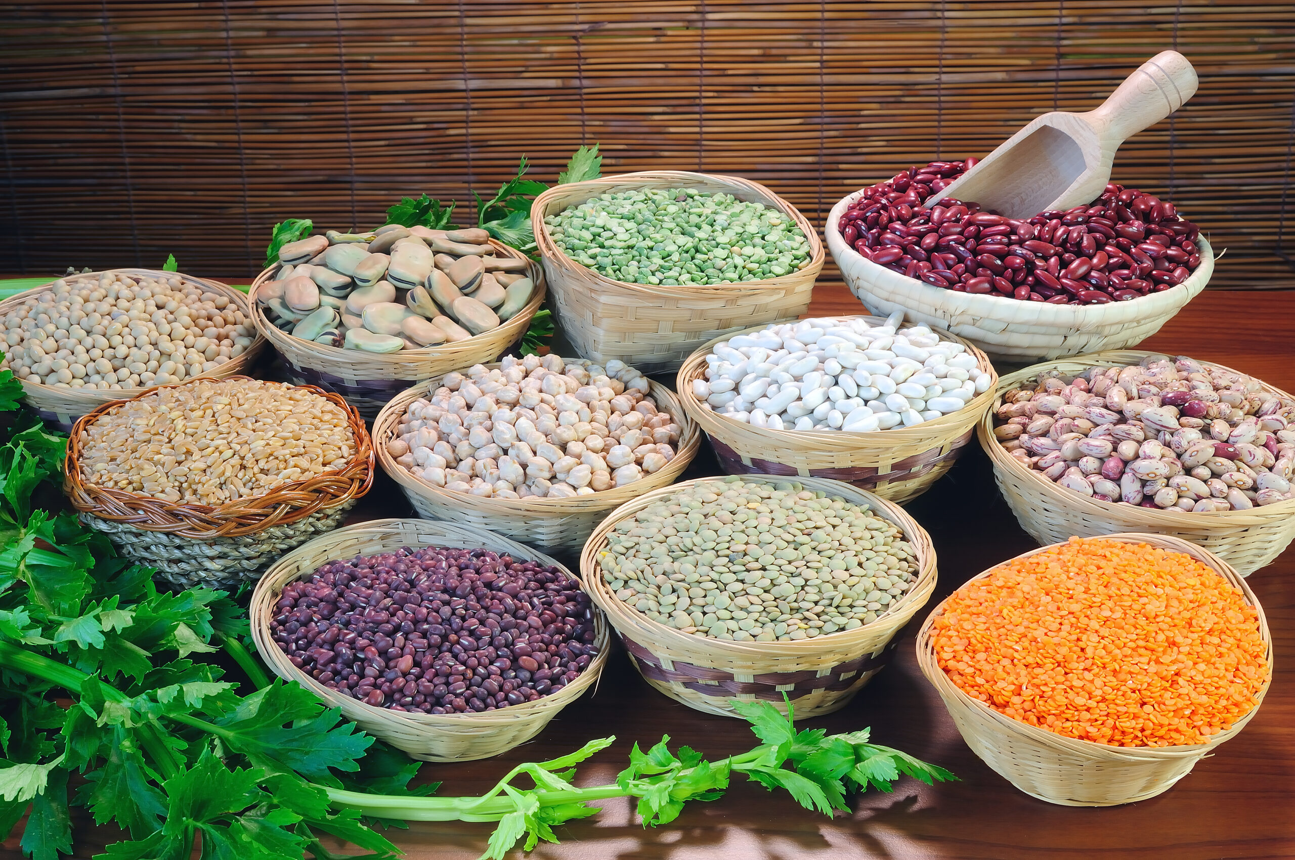 Types of Legumes