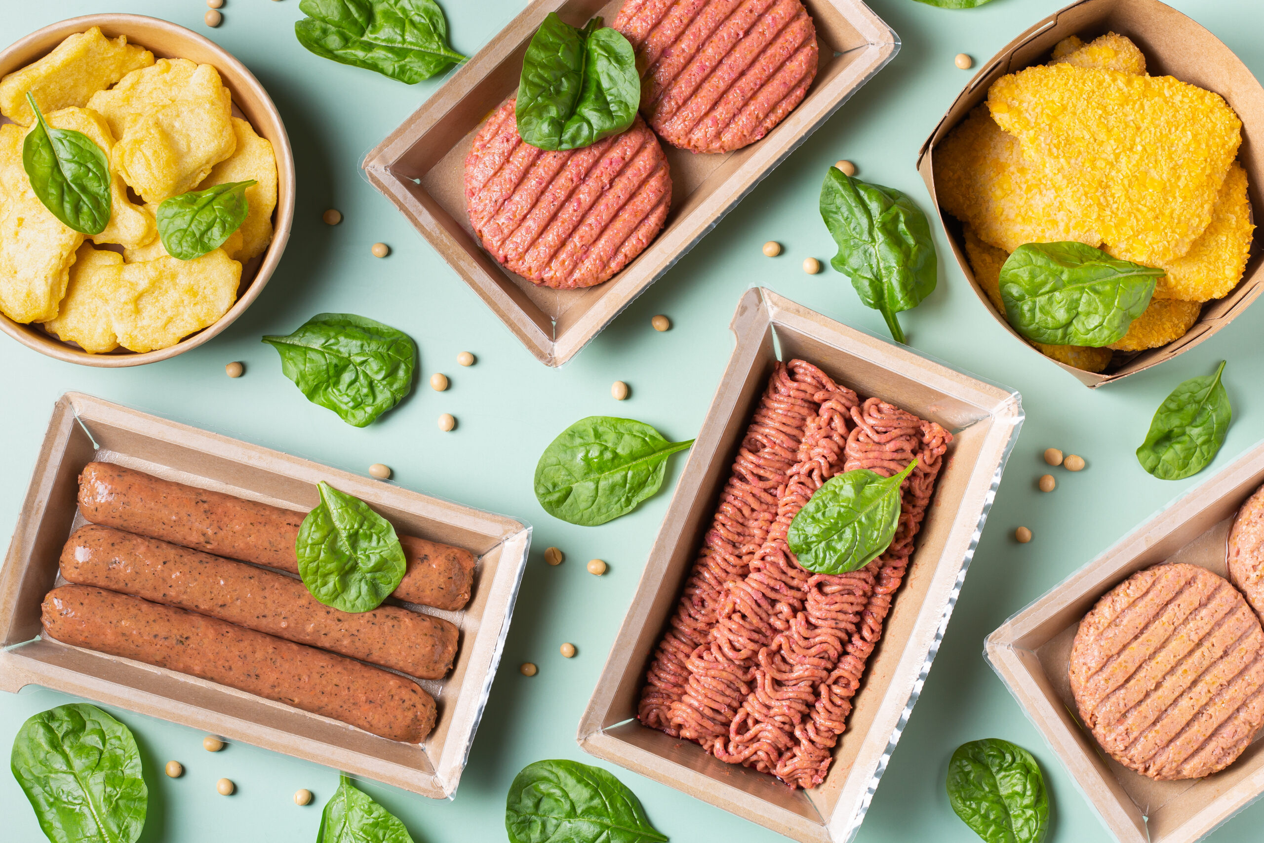 Plant Protein and Plant-Based Meat Alternatives: Consumer and Nutrition Professional Attitudes and Perceptions