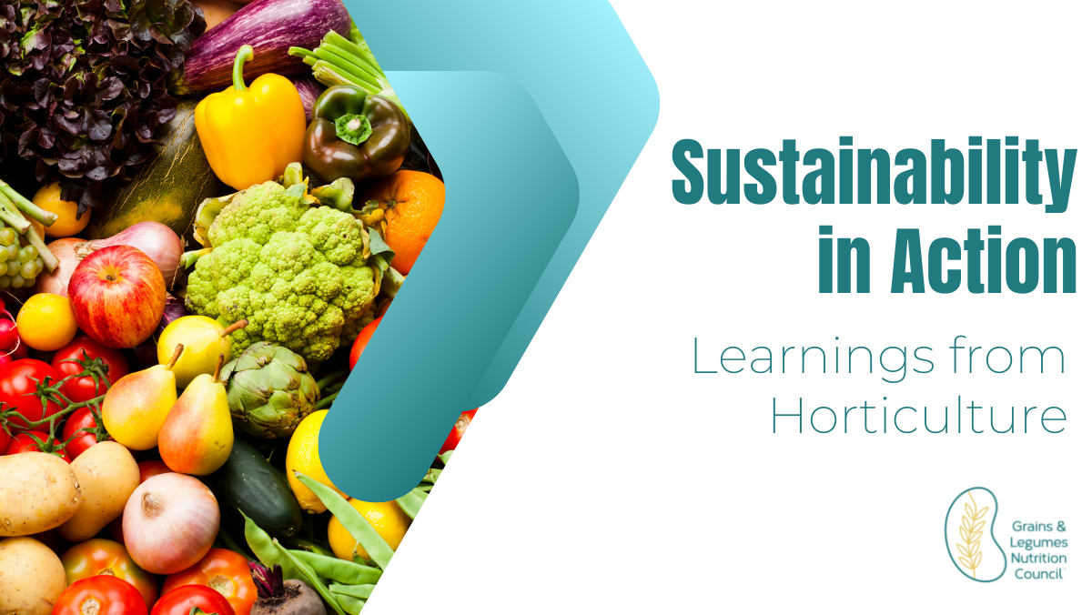Webinar Recording: Sustainability in Action