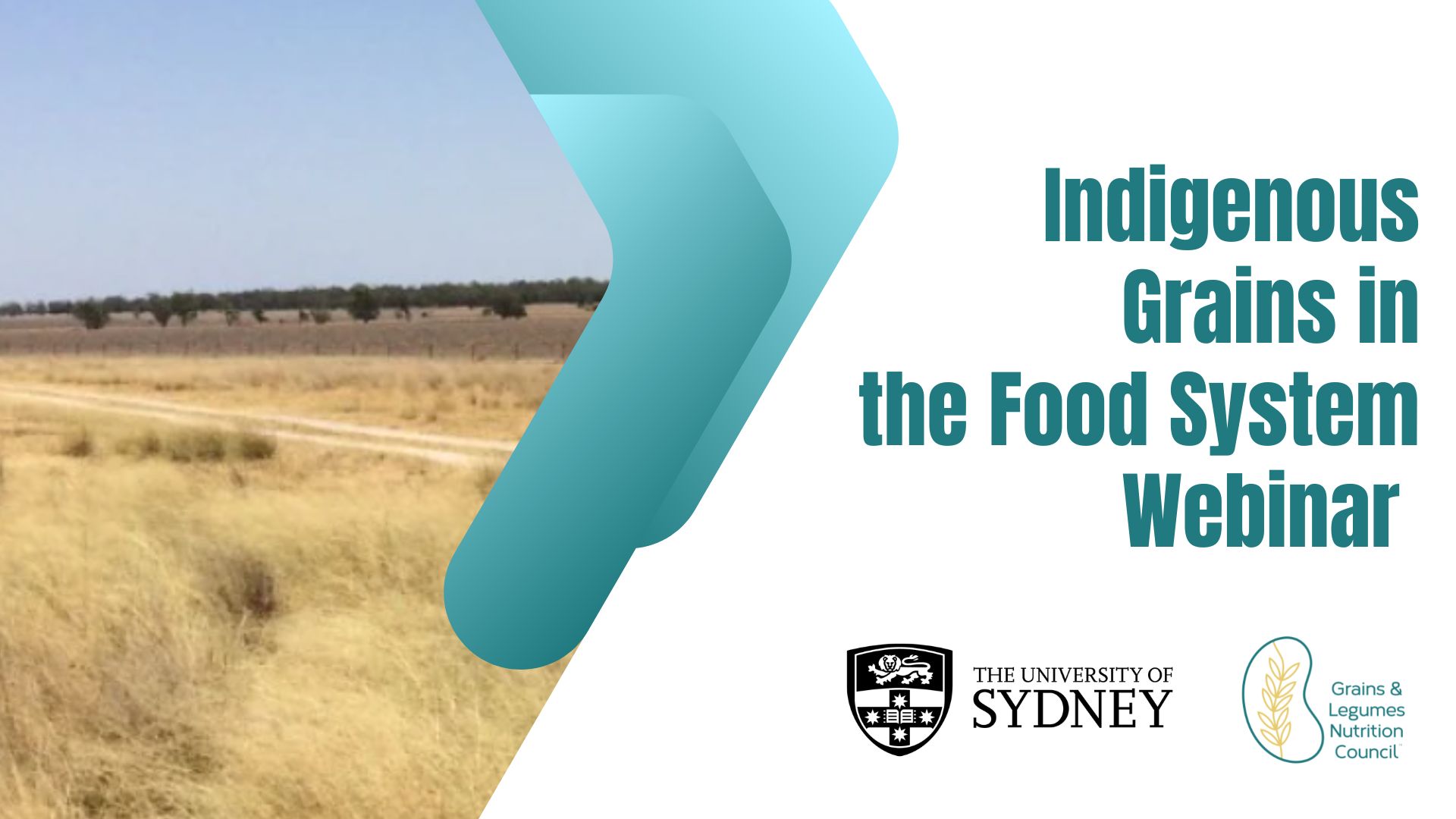 Webinar Recording: Indigenous Grains