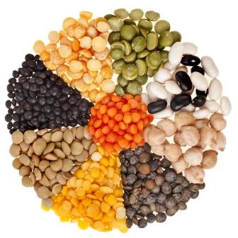 Legumes and chronic disease